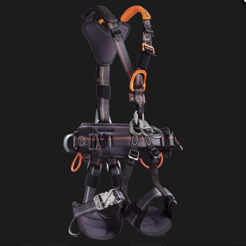 Gurtsystem IGNITE ARGON