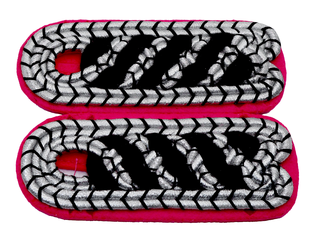 Dienstgradabzeichen "Löschmeister/in" NDS + SH (alte Verordnung)